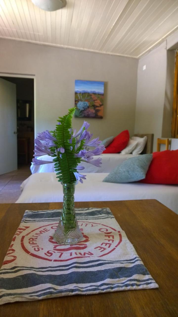 Artkaroo Stay Oudtshoorn Exterior foto